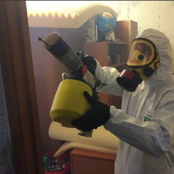 Уничтожение клопов в квартире. Майский